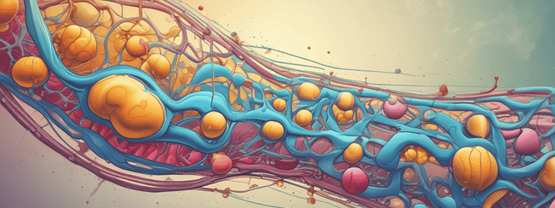 Biochemistry LE 2: Mitochondrial Oxidative Phosphorylation/ Electron Transport Chain