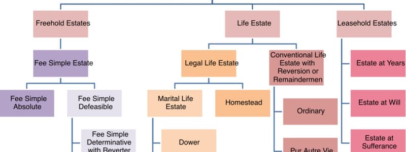 Transfer of Ownership