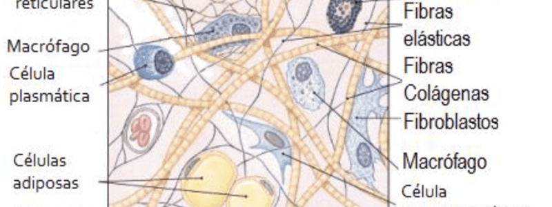 2. Quiz Biología a eucariotas 27 a 37