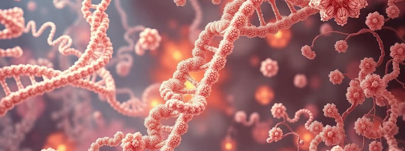 Protein Synthesis Overview