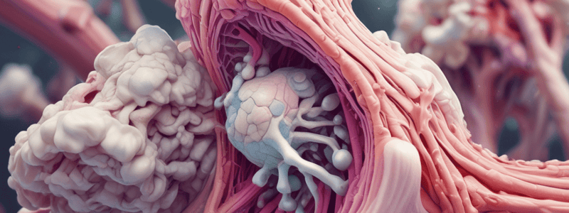 Chondrogenesis and Perichondrium in Cartilage Tissue