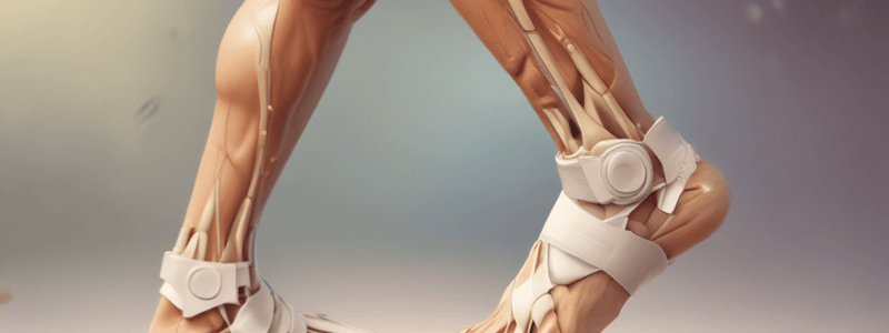 High Ankle Sprain Overview