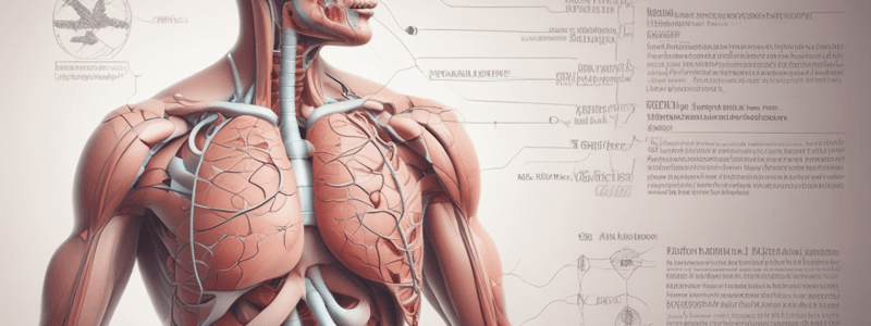 Respiratory System Overview