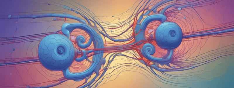 Neurophysiology Lecture Quiz: Excitability and Ion Channels