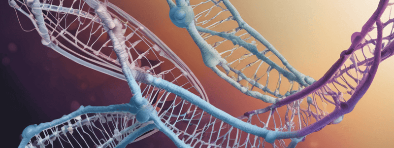 T.11 Promotores para la RNA Pol II