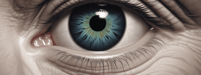 Pupillary and Eyelid Abnormalities Quiz