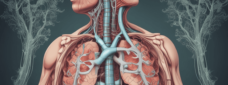 chapter 41. quiz 5. respiratory mechanics