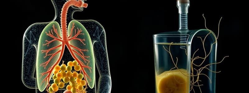 Biology of Respiration Processes