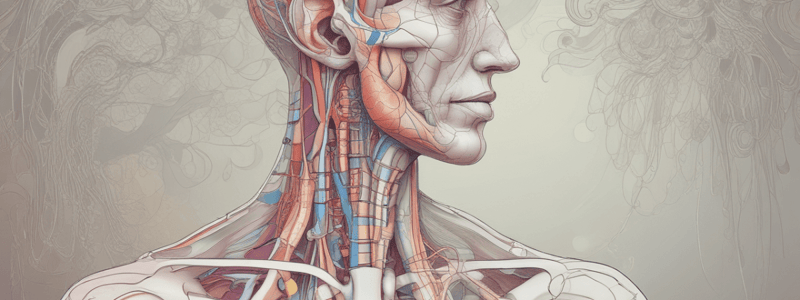 Human Respiratory System Overview