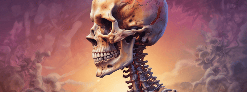 Pathology of bone and mesenchymal differentiation all