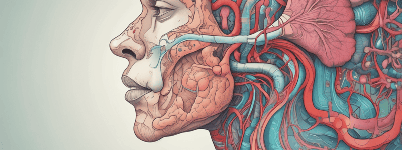 Gr 9 NATURAL SCIENCES: CH 1.2 The respiratory system