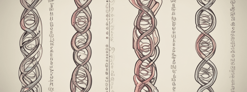 Disorders of Sexual Development