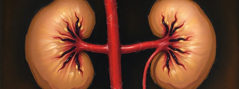 Kidney Albumin Reabsorption