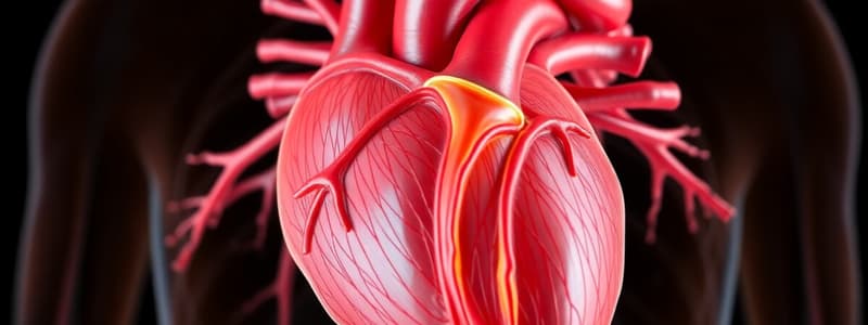 4: Cardiac Excitation-Contraction Coupling