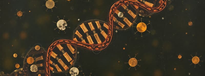 DNA Hasarı ve Onarım Mekanizmaları