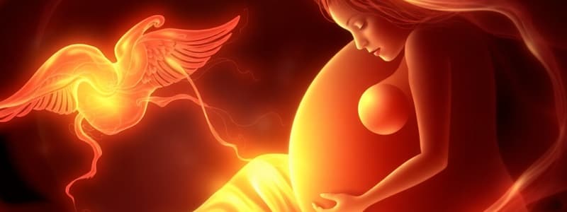 Placenta Previa: Types & Risk Factors