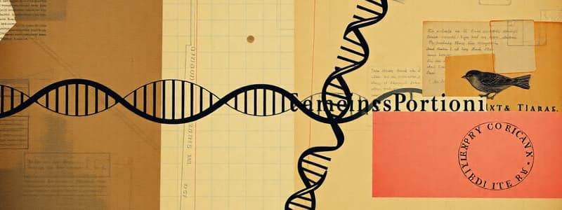 Double Stranded DNA Orientation Forward and Reverse Orientation (Exam 2)