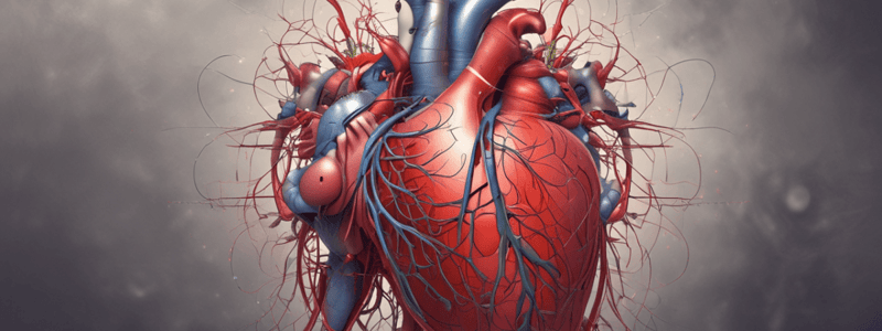 Cardiac Physiology Quiz