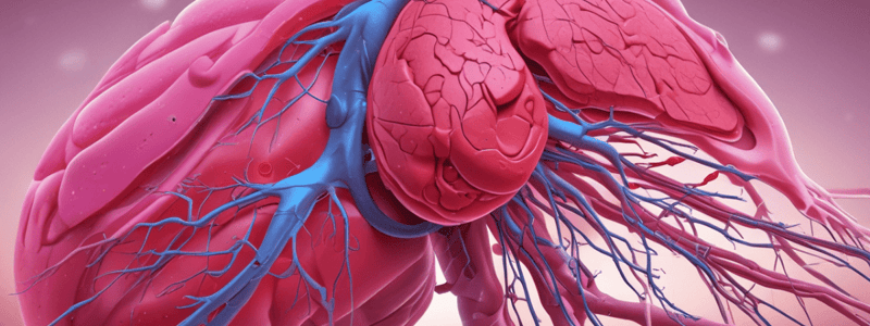 Liver Acinus Oxygenation Quiz