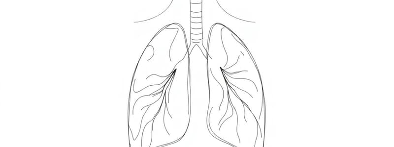 Respiratory Physiology: Alveolar Pressure (Fisiologia 40)