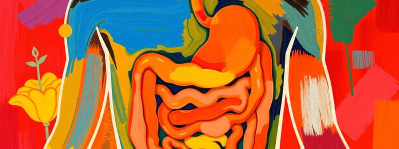 The Digestive System Quiz