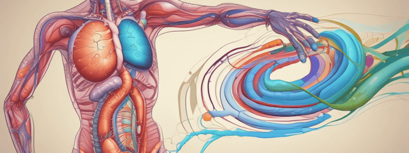 MBBS Year 1 Gastrointestinal Lectures