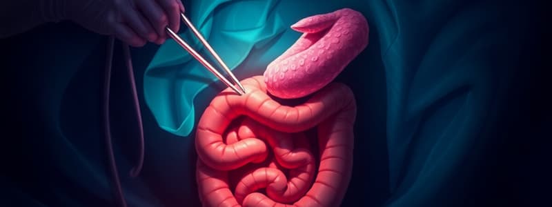 20 Food Animal Intestinal/Anorectal Surgery Part 1