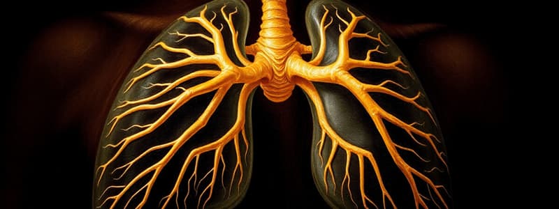 Respiratory Control Centres Overview