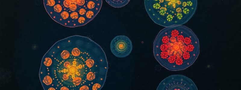 Prokaryotic vs. Eukaryotic Cells Quiz