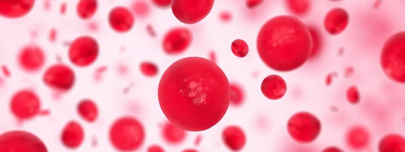 Anemia Types Overview