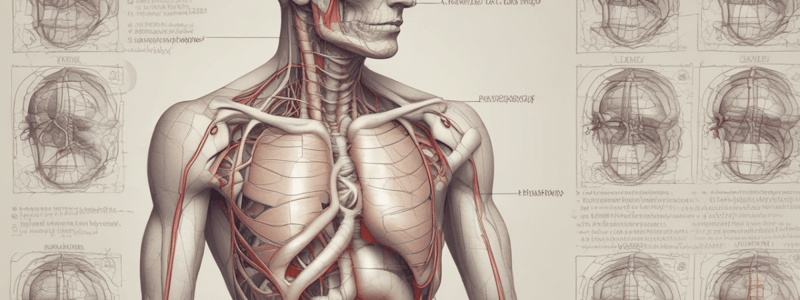 Thoracic Injuries: Pneumothorax, Hemothorax, and Hemopneumothorax