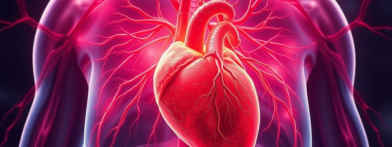 Pulmonary Circulation Overview