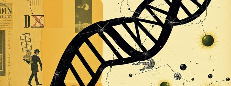 DNA Replication in Eukaryotes and Prokaryotes