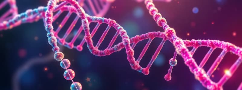 Nucleic Acids Overview