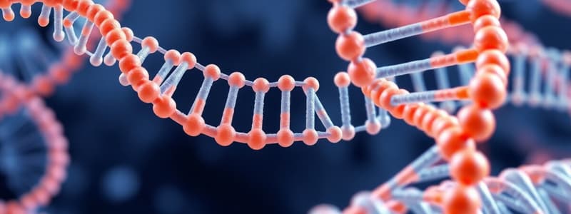 Molecular Biology Quiz: RNA and DNA Processes