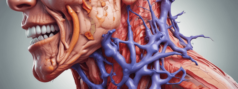 Connective Tissue Diseases