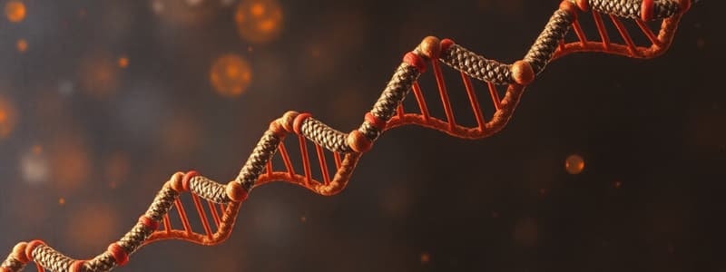 Nucleotides and Nucleic Acids Overview