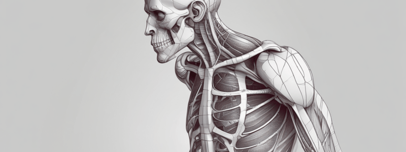 Epaxial Structures