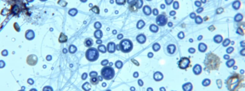 Types of Stains in Microscopy