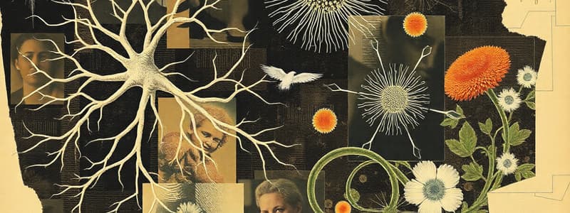 Système Nerveux: Neurones et Cellules Gliales