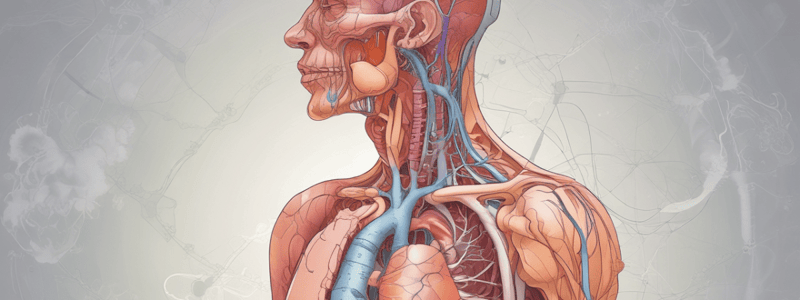 Gr 9 NATURAL SCIENCES: CH 1.4 SUM Circulation and respiration