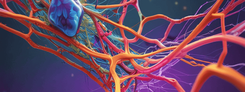 Cellular Organization and Cytoskeleton Structures Quiz