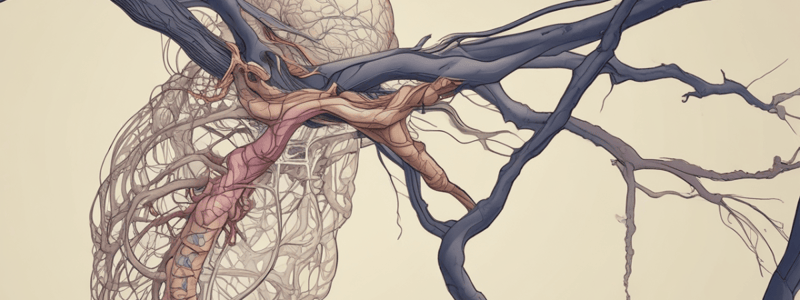 Nervous System Basics