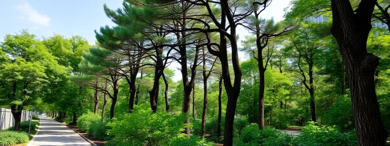 Cooling Effects of Trees in Urban Areas