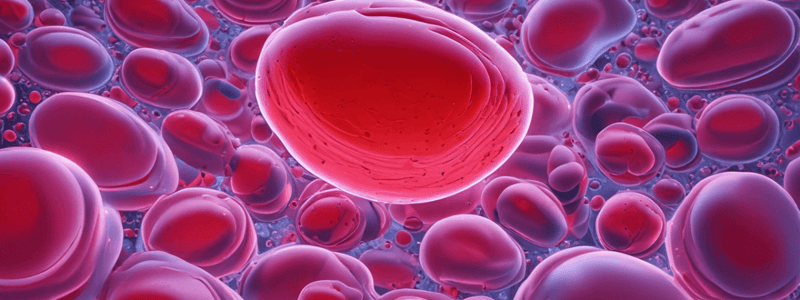 Platelet Adhesion and Shape Changes Quiz