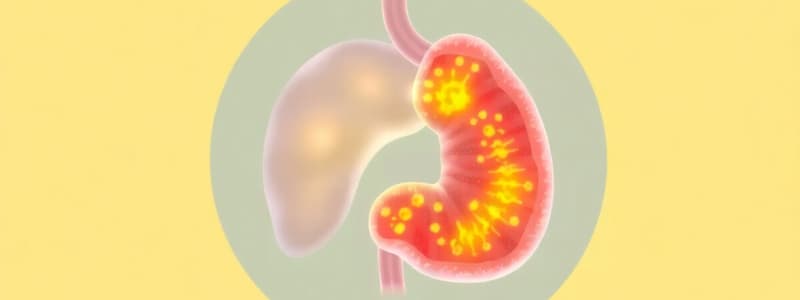 SysPath: GI Path 3 (Cirrhosis, Jaundice, Hepatitis)