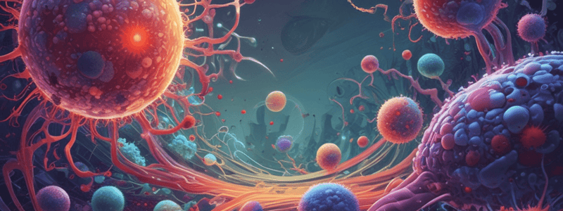 General Patterns of Viral Infection