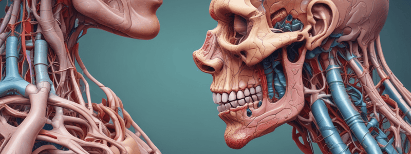 Physiology of Salivary Glands