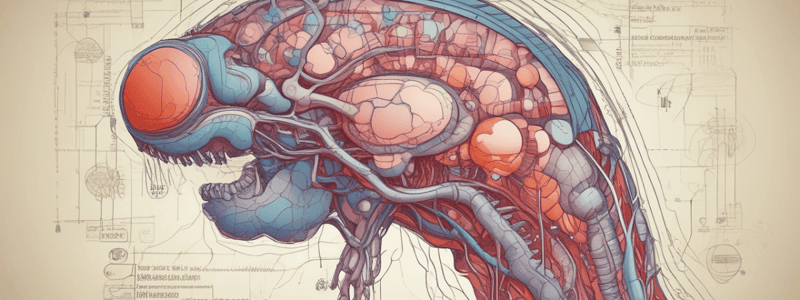 HPG Axis and Hormone Regulation