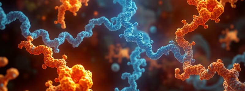 Protein Functions: structural, enzymatic, transport